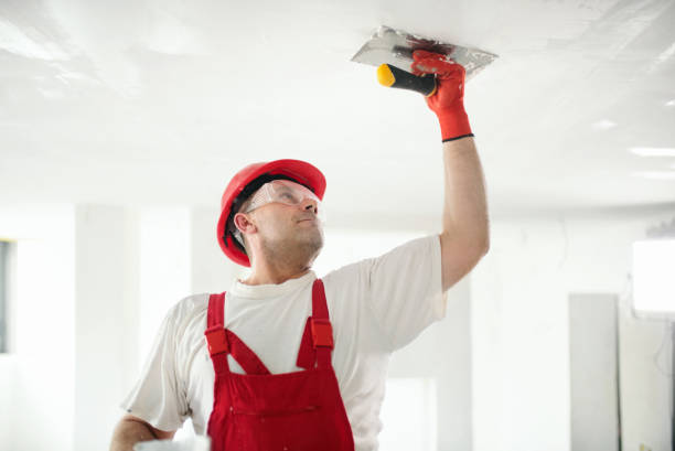 Best Drywall Removal and Disposal  in Lutcher, LA